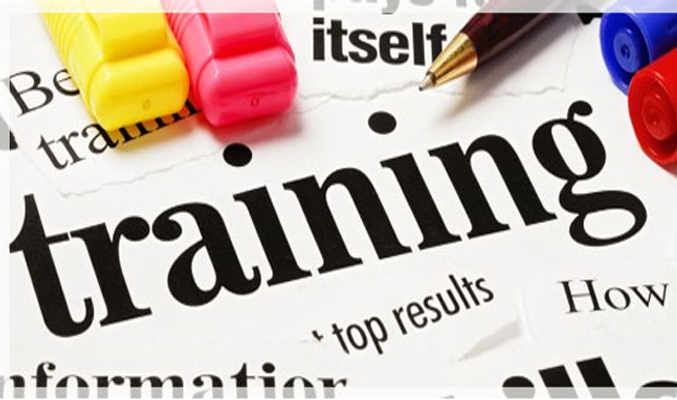 Paradigma Lama Soal Training Soft Skills