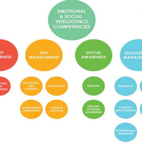 Crucial Competence: 12 Kompetensi EQ Penting Yang Wajib Dimiliki Para Pemimpin!