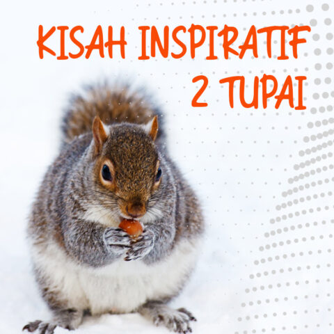 Kisah Inspiratif 2 Tupai