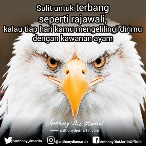 Terbang Seperti Rajawali
