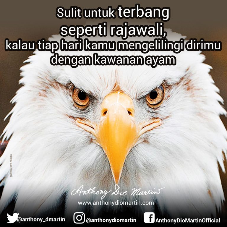Terbang Seperti Rajawali