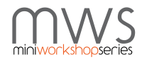 Mini Workshop Series